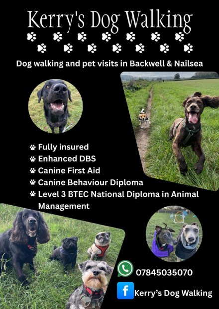 Facebook - Kerry's Dog Walking