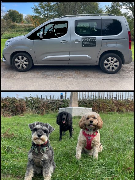 Facebook - Kerry's Dog Walking